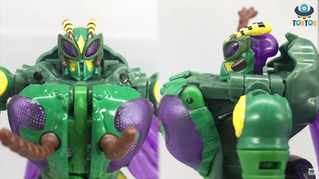 Transformers Kingdom Deluxe Class Waspinator  (20 of 35)